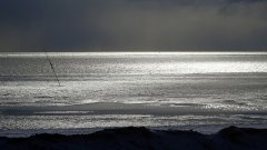 BU_Fhr_-_Wattenmeer-im-Sonnenlicht.jpg